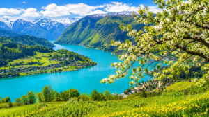 Alpine Lake Valley in Spring Bloom